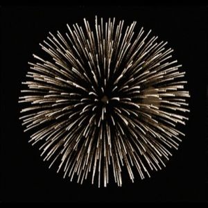 Meet your Posher, Evan